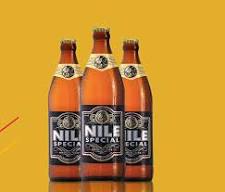 Nile Special Logo
